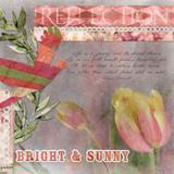 Blush Blossoms Scrap.Words