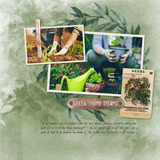 Blush Blossoms Painted Papers