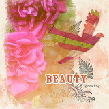 Blush Blossoms Artisan Papers