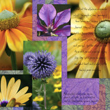 Stitched with Love Collection