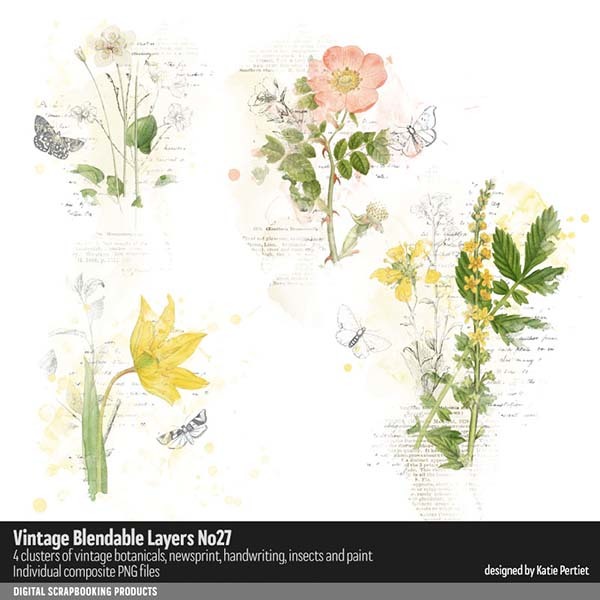 Vintage Blendable Layers 27 Digital Art - Digital Scrapbooking Kits