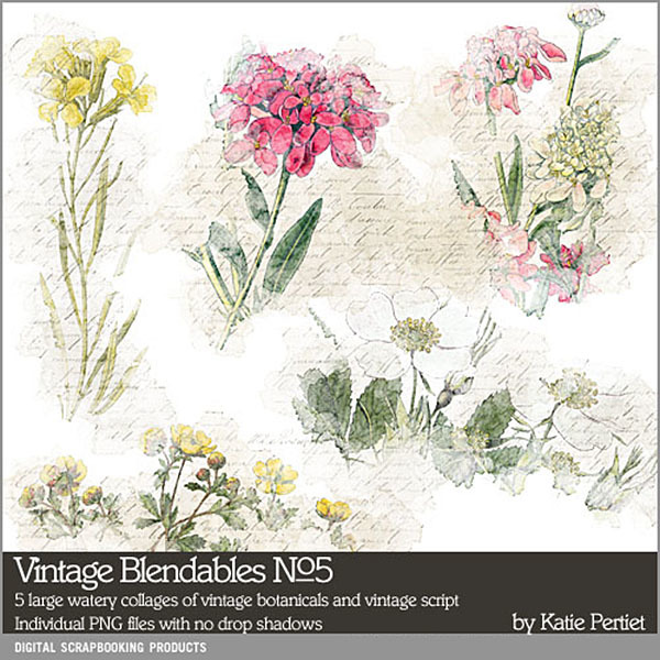 Vintage Blendables 05 Digital Art - Digital Scrapbooking Kits