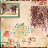 Winged Hope Collection