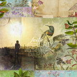 Winged Hope Collection