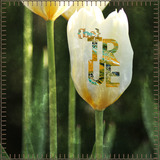 Stitched Botanicals Collection