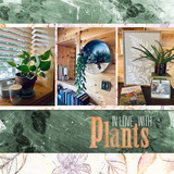 English Garden Mini Pak