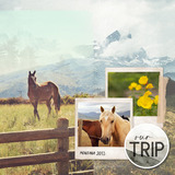 Simply Storyboards 12x12 Pre-designed Book