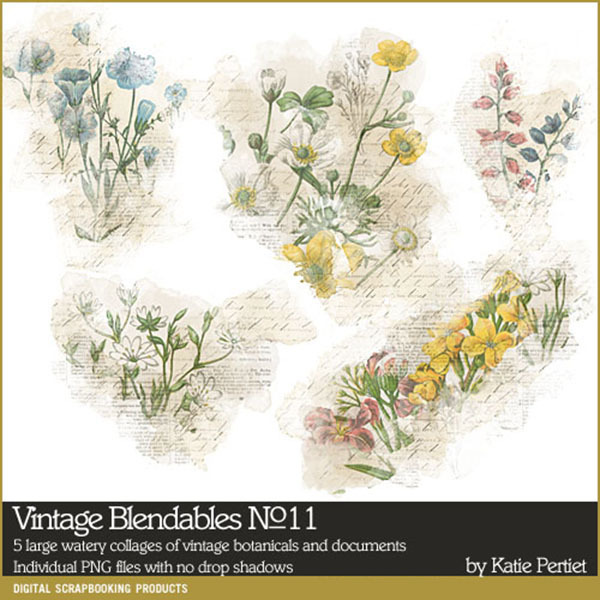 Vintage Blendables 11 Digital Art - Digital Scrapbooking Kits