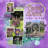 Life Story-Carpe Diem Bundle