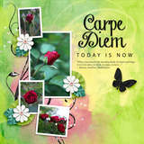 Life Story-Carpe Diem Bundle