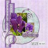 Life Story-Carpe Diem Bundle