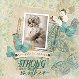 Rooted in Faith 2 Collection