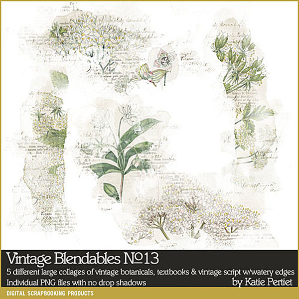 Vintage Blendables 13 Digital Art - Digital Scrapbooking Kits