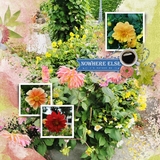 Photological Bonus Bundle 3 - 12x12