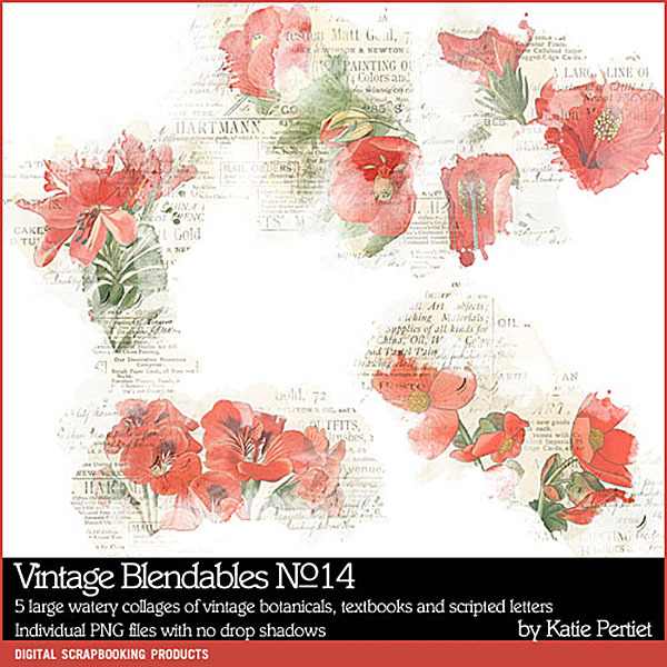 Vintage Blendables 14 Digital Art - Digital Scrapbooking Kits
