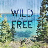 Into the Forest SLF Paper Pak