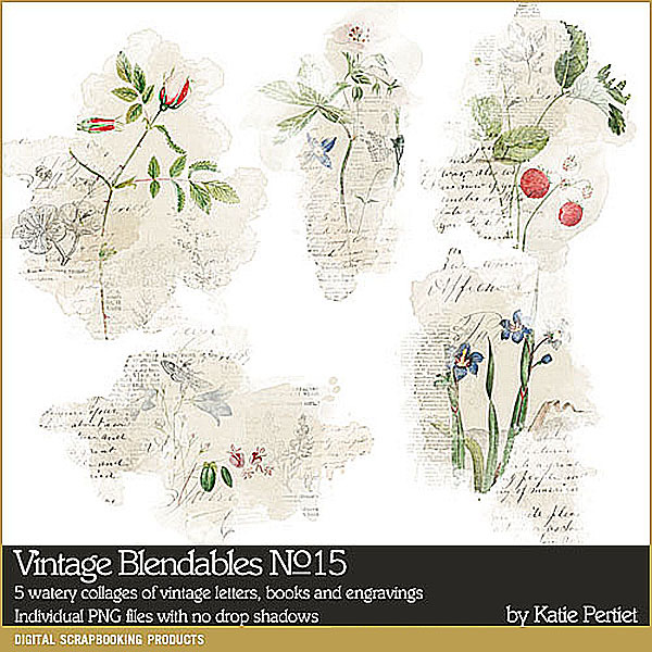 Vintage Blendables 15 Digital Art - Digital Scrapbooking Kits