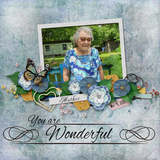 Life Story - Wonderfull Bundle