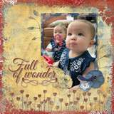 Life Story - Wonderfull Bundle