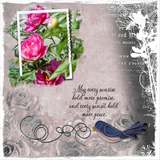 Life Story - Wonderfull Bundle