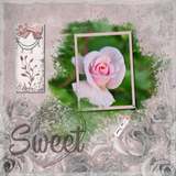 Life Story - Wonderfull Bundle