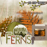 Into the Forest Paper Pak