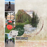 Into the Forest Stickers