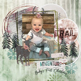 Into the Forest Stickers