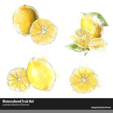 Watercolored Fruit 01