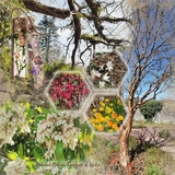 Driftwood Droppers - Mega Bundle