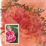 Simply Storyboards 3 - 12x12 Pre-designed Book