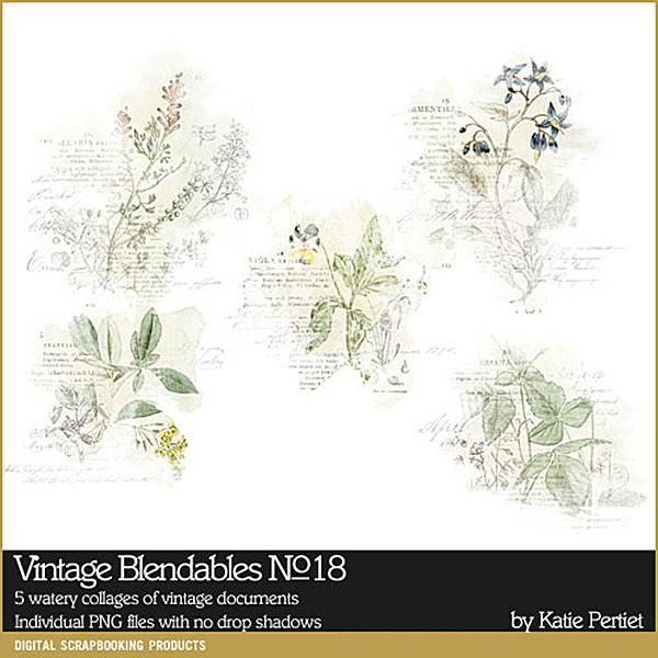 Vintage Blendables 18 Digital Art - Digital Scrapbooking Kits