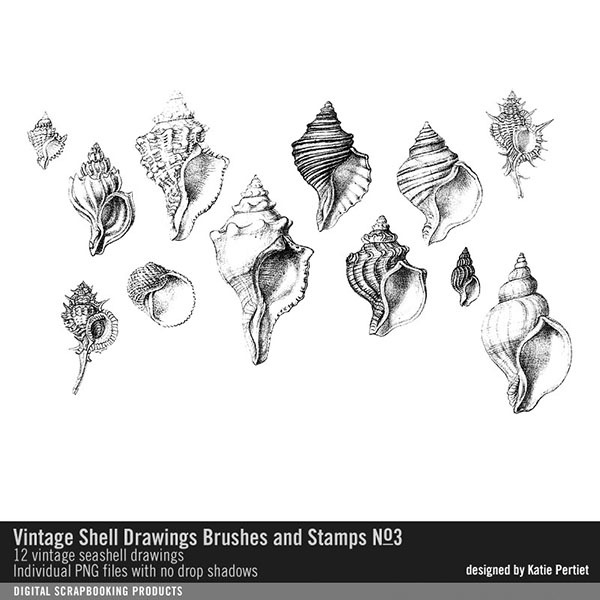 Vintage Shell Drawings Brushes and Stamps 03 Digital Art - Digital Scrapbooking Kits