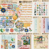 Sunny Disposition Paper Pak