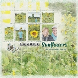 Artistic License Crayoned Grids Bonus Bundle - 12x12