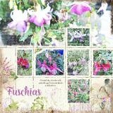 Artistic License Crayoned Grids Bonus Bundle - 12x12