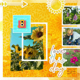 Summer Vibes Paper Pak