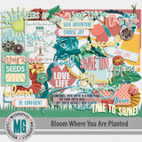 Bloom Where You Are Planted Kit