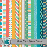 Bloom Where You Are Planted Kit