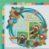 Bloom Where You Are Planted Kit