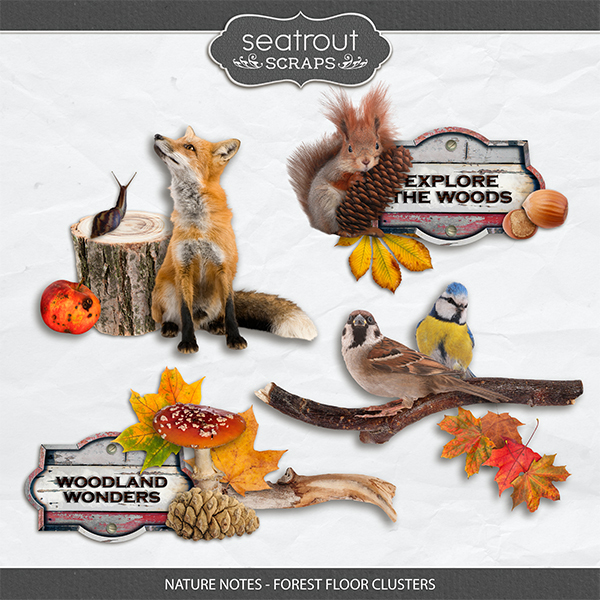 Nature Notes - Forest Floor Clusters Digital Art - Digital Scrapbooking Kits