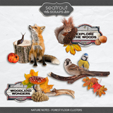 Nature Notes - Forest Floor Clusters