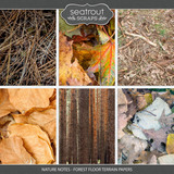 Nature Notes - Forest Floor Terrain Papers