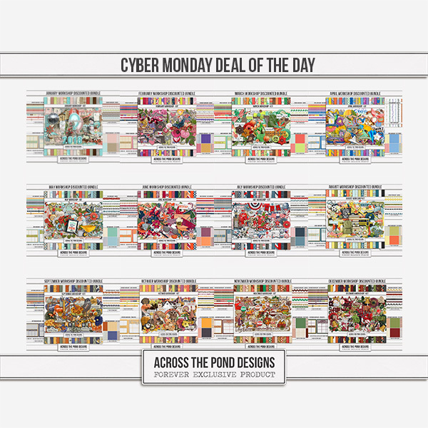 Cyber Monday Deal of the Day