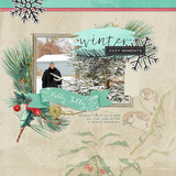 Winter Joy Element Pak