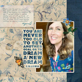 New Dream Collection