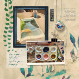 New Dream Collection