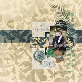 New Dream Collection