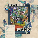 New Dream Collection