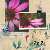 New Dream Scrap.Words